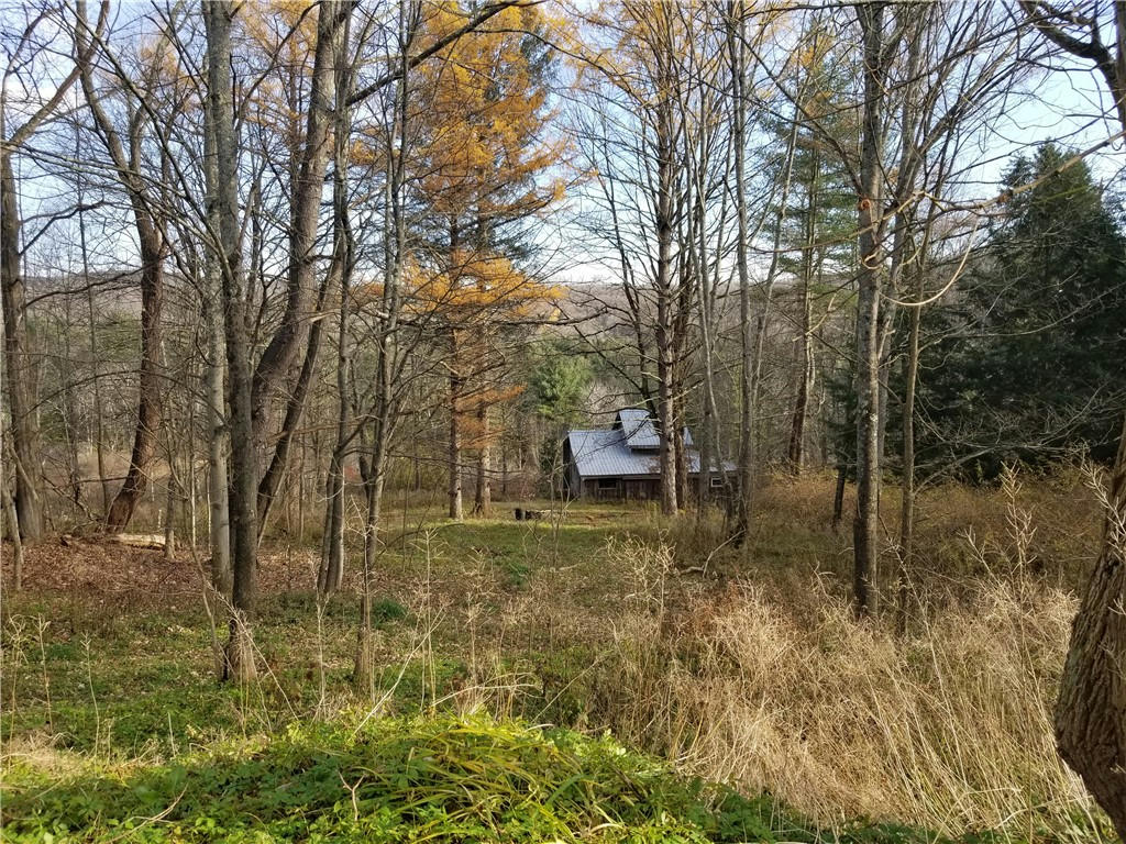 1718 STATE HIGHWAY 51, BUTTERNUTS, NY 13776, photo 1 of 24