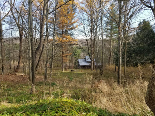 1718 STATE HIGHWAY 51, BUTTERNUTS, NY 13776 - Image 1