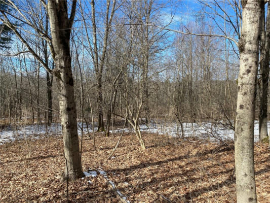 LOT #9 COUNTY HIGHWAY 14, MOUNT VISION, NY 13810, photo 5 of 20
