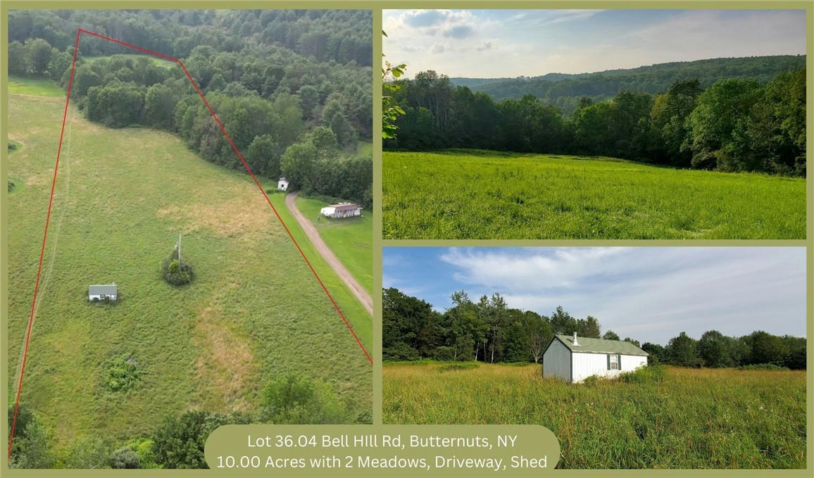 LOT 36.04 BELL HILL ROAD, MORRIS, NY 13776, photo 1 of 27